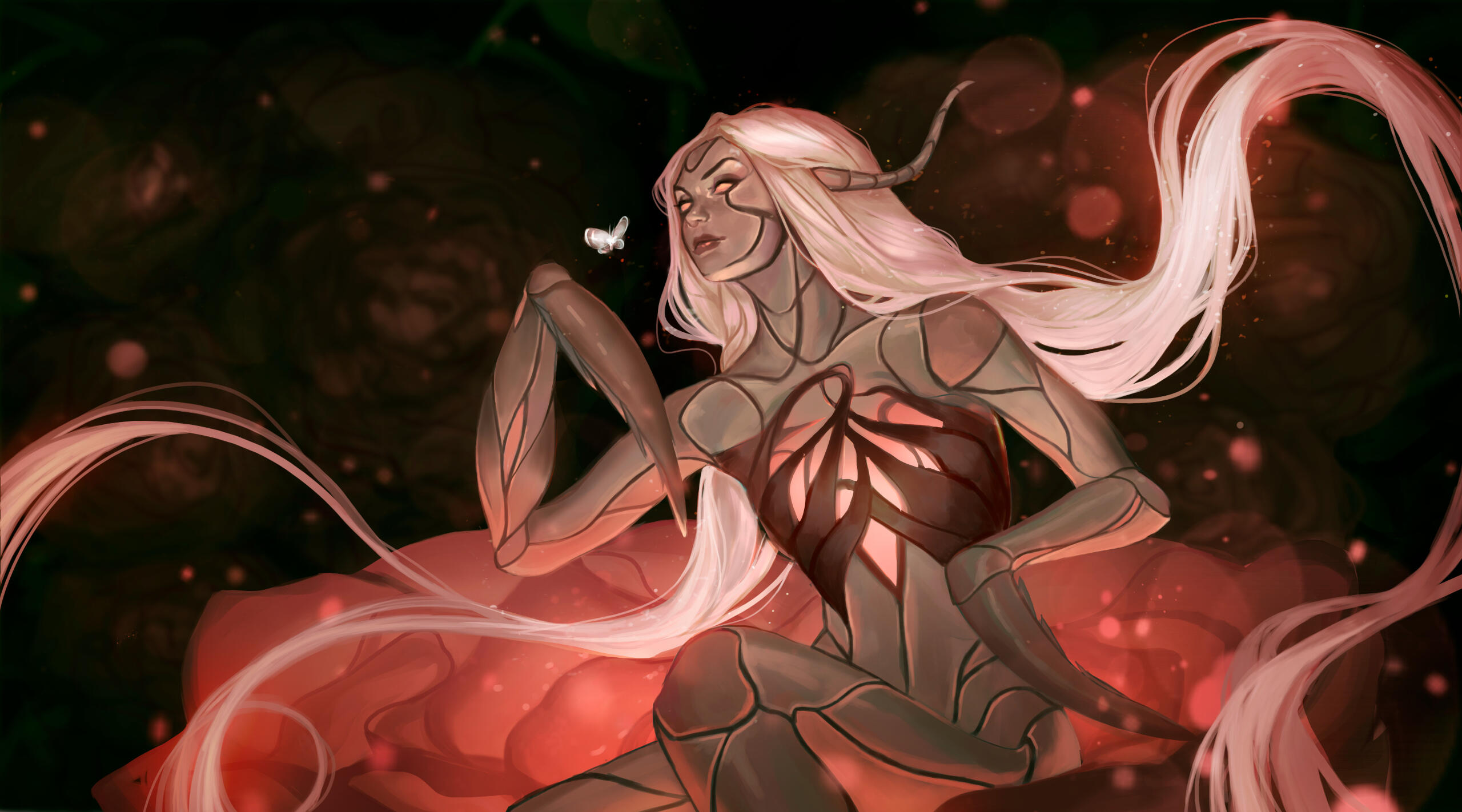 Orchid Mantis Orchid Mantis